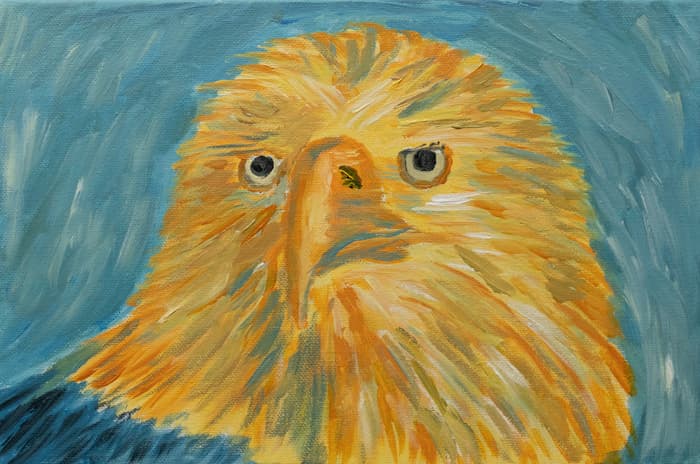 Portrait of Bald Eagle