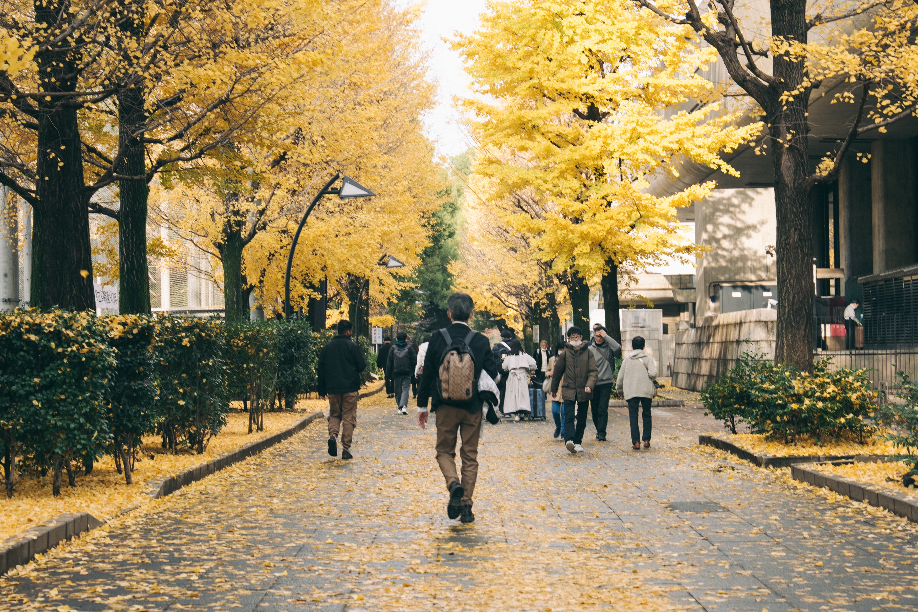 Golden Pathway